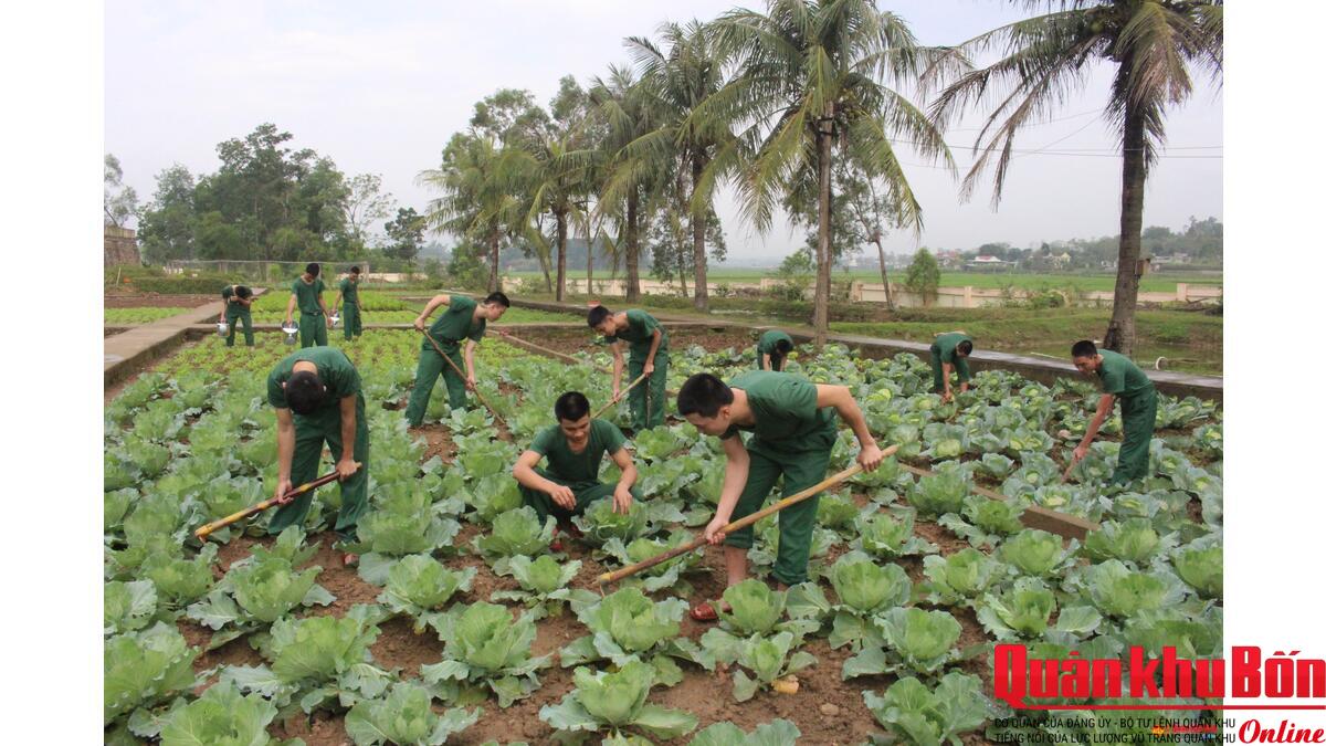 Niềm vui tăng gia sản xuất của chiến sĩ mới Tiểu đoàn 1 Niềm vui tăng gia sản xuất của chiến sĩ mới Tiểu đoàn 1