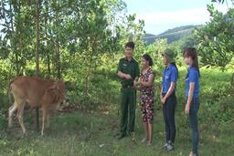 TRANG TRUYỀN HÌNH QUÂN KHU 4 NGÀY 27-5-2019