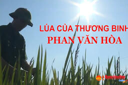 Phóng sự Truyền hình "Lúa" của thương binh Phan Văn Hóa