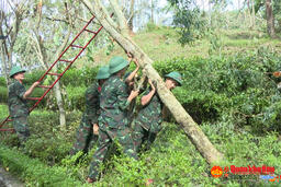 Phóng sự: CHUNG SỨC CÙNG KHU DI TÍCH KIM LIÊN SẴN SÀNG ĐÓN KHÁCH DỊP QUỐC KHÁNH 02-9