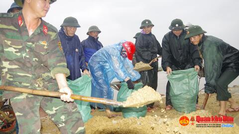 Lực lượng vũ trang huyện Thạch Hà (Hà Tĩnh): Tham gia củng cố tuyến đê xung yếu trên địa bàn xã Tượng Sơn