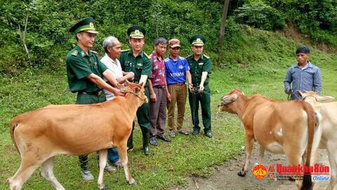 Đồn Biên phòng Mỹ Lý (Bộ Chỉ huy BĐBP Nghệ An): Tặng bò giống cho người nghèo