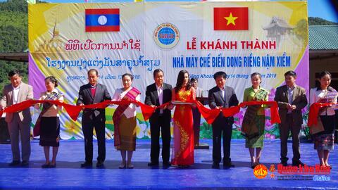 Tổng công ty Hợp tác kinh tế: Khánh thành nhà máy miến dong Nậm  Xiểm tại Lào