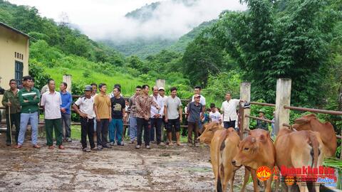 Đoàn Kinh tế - Quốc phòng 5 tập huấn kỹ thuật chăn nuôi cho Nhân dân