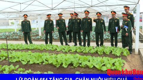 Phóng sự Truyền hình: Lữ đoàn 654 Quân khu 4 tằng gia chăn nuôi hiệu quả