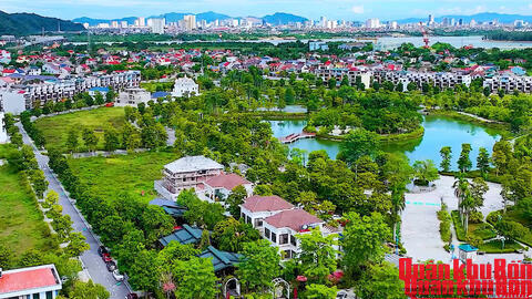 Nghi Xuân vươn mình