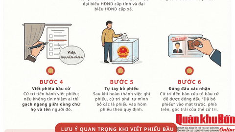 Quy trình 6 bước bỏ phiếu bầu cử Quốc hội, Hội đồng nhân dân, cử tri cần biết
