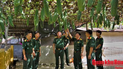 Đoàn Kinh tế - Quốc phòng 337 (Quân khu 4): Vượt khó, bảo đảm tốt công tác hậu cần