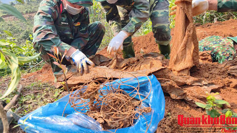 Đoàn Kinh tế - Quốc phòng 337 (Quân khu 4): Quy tập 01 hài cốt liệt sĩ tại xã Hướng Lập