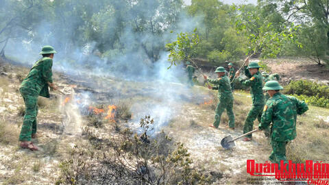 Đồn Biên phòng Hải An kịp thời khống chế cháy rừng