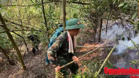 Ban CHQS xã Bích Hào, Bộ CHQS tỉnh Nghệ An khống chế thành công đám cháy rừng