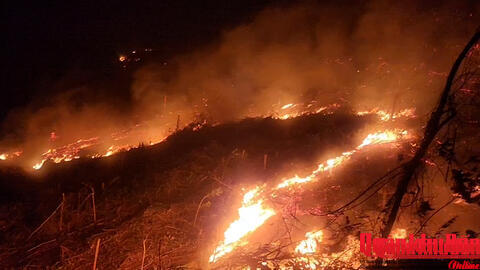 Nghệ An kịp thời huy động lực lượng khống chế cháy rừng trên địa bàn