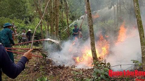 Lực lượng vũ trang trên địa bàn xã Mường Típ (Nghệ An) kịp thời dập tắt đám cháy rừng
