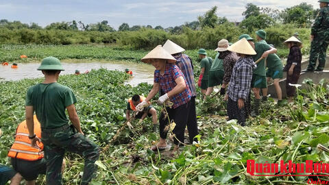 Bộ đội về làng, Sao Vàng đường sáng, bản quang