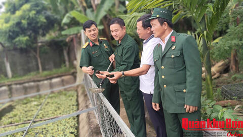 Cựu chiến binh làm giàu từ nghề nuôi ốc