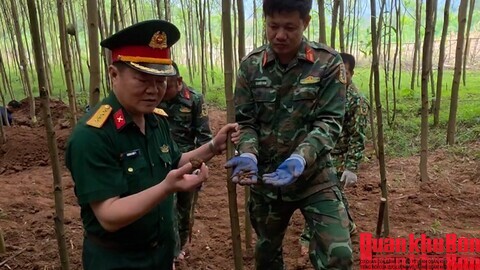 Quảng Trị: Quy tập 12 hài cốt liệt sĩ