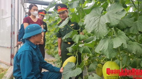 PHÓNG SỰ: LẤP LÁNH SAO VUÔNG