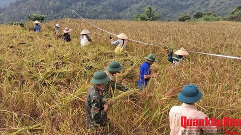 Đoàn Kinh tế - Quốc phòng 5 (Quân khu 4) hỗ trợ Nhân dân phát triển kinh tế