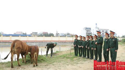 Hội Phụ nữ Cục Chính trị Quân khu 4 ra mắt mô hình “Đàn bò sinh kế”