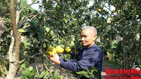 Cựu chiến binh Lê Hữu Giám làm kinh tế giỏi ở vùng cao Thượng Ninh