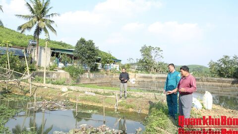 Cựu chiến binh "đánh thức" đất hoang