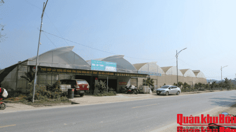 Cựu chiến binh đưa công nghệ lên đồi