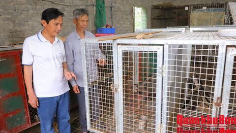 Cựu chiến binh tiên phong làm giàu