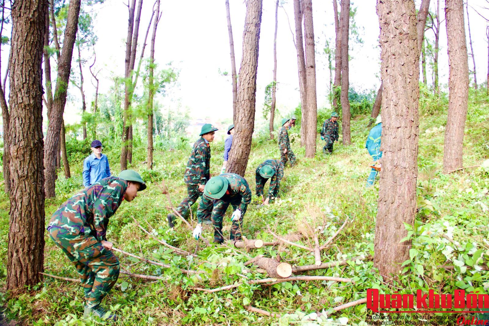 Lữ đoàn 654 phói hợp phòng cháy rừng