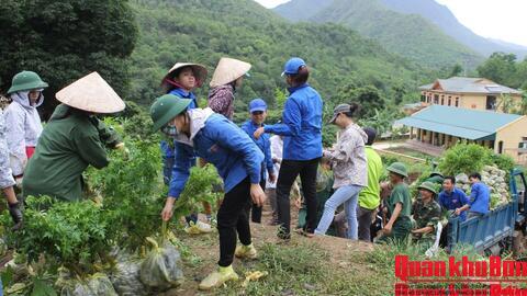 “Mở lối”, “soi đường”