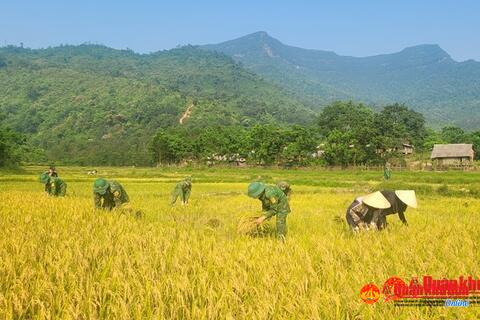 Niềm vui trên những cánh đồng biên giới Quảng Bình
