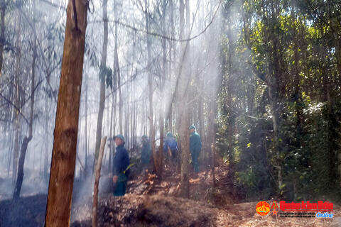 Nhanh chóng khống chế cháy rừng ở Hương Khê