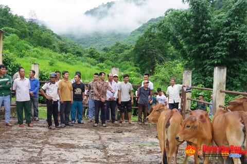 Đoàn Kinh tế - Quốc phòng 5 tập huấn kỹ thuật chăn nuôi cho Nhân dân