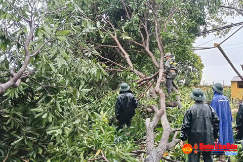 Xưởng 467 (Cục Hậu cần - Kỹ thuật) khẩn trương khắc phục hậu quả bão số 5