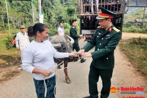 Hỗ trợ 84 con trâu giống cho hộ nghèo ở các xã biên giới của huyện Kỳ Sơn