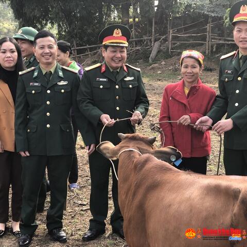 Đoàn Kinh tế - Quốc phòng 4 hỗ trợ con giống gia súc cho Nhân dân