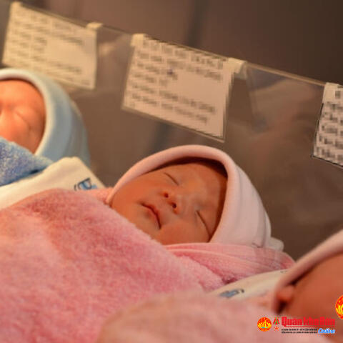Từ 20/3 không kỷ luật đảng viên sinh con thứ 3