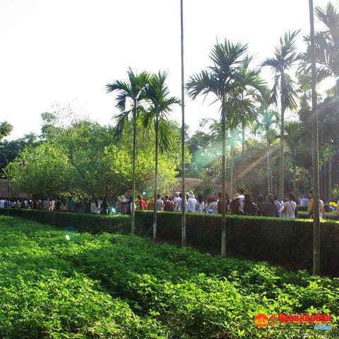 Quê hương trong lòng Bác