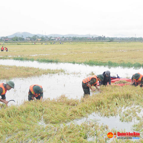 Thắm đượm nghĩa tình quân dân trong mưa lũ
