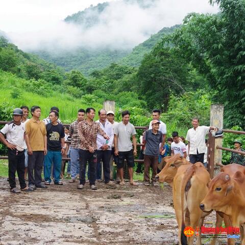 Đoàn Kinh tế - Quốc phòng 5 tập huấn kỹ thuật chăn nuôi cho Nhân dân