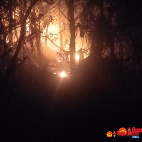 Hơn 100 cán bộ, chiến sĩ lực lượng vũ trang tỉnh Nghệ An khống chế đám cháy rừng thông