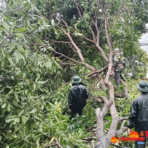 Xưởng 467 (Cục Hậu cần - Kỹ thuật) khẩn trương khắc phục hậu quả bão số 5