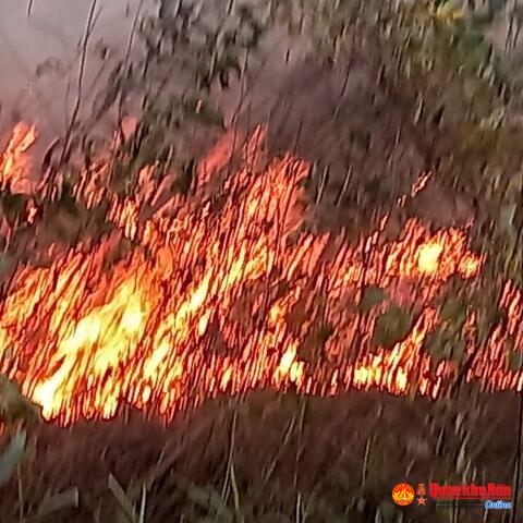 Hàng trăm cán bộ, chiến sĩ và nhân dân tham gia chữa cháy rừng tại Thanh Chương và Nam Đàn (Nghệ An)