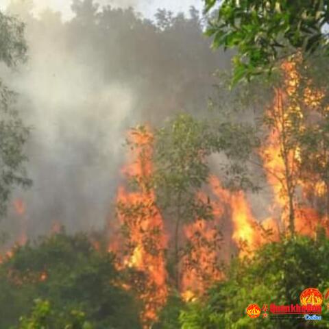 Quân dân huyện Tuyên Hóa khống chế thành công đám cháy rừng