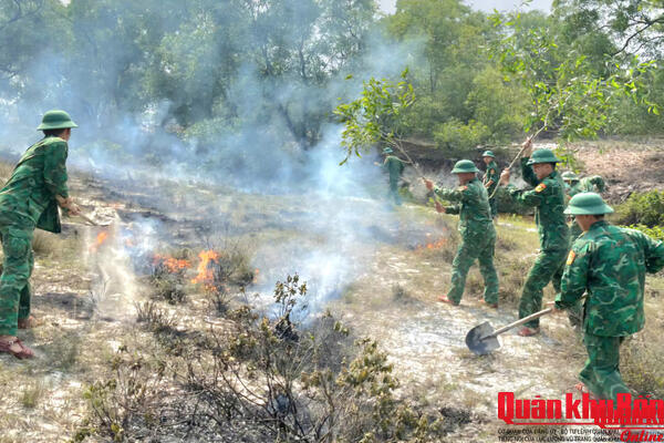 Đồn Biên phòng Hải An kịp thời khống chế cháy rừng