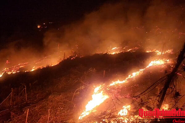 Nghệ An kịp thời huy động lực lượng khống chế cháy rừng trên địa bàn
