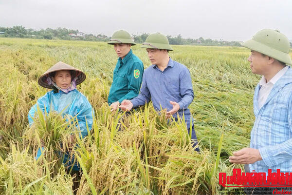 Xã Tứ Mỹ, tỉnh Hà Tĩnh khắc phục hậu quả mưa đá