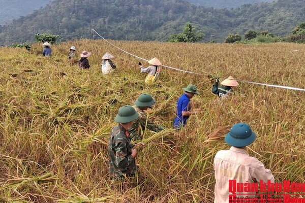 Đoàn Kinh tế - Quốc phòng 5 (Quân khu 4) hỗ trợ Nhân dân phát triển kinh tế