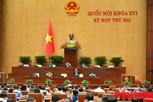 Hôm nay, Quốc hội thảo luận nhiều dự án luật về chứng khoán, bưu chính
