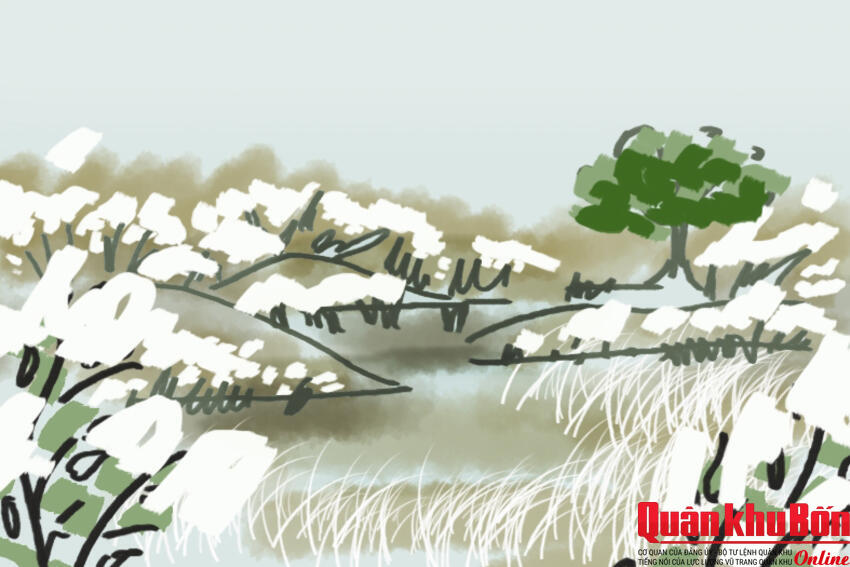 Nhớ mùa Xuân "đánh trận"