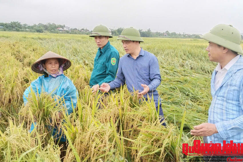 Xã Tứ Mỹ, tỉnh Hà Tĩnh khắc phục hậu quả mưa đá
